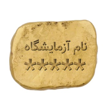 طلای آب شده مدل 10g - شمش گلدیس عیار 995 - 06